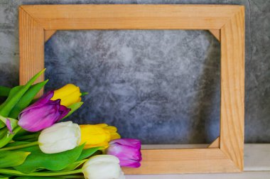 Taze renkli laleler. Bahar Laleleri Çiçekleri.