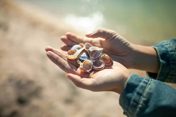 Vrouwen Handen Vasthouden Van Schelpen Stenen Met Blauwe Zee Achtergrond — Stockfoto