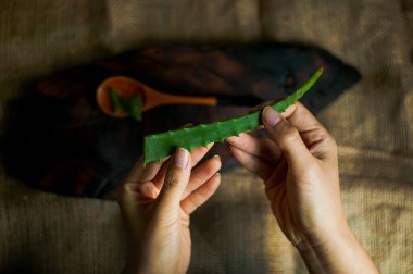 Aloe Vera ile Yakın Eller