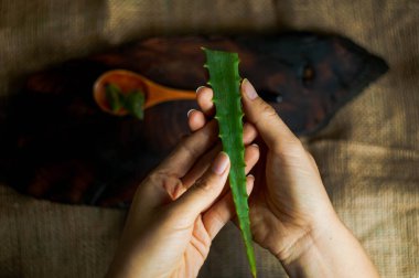 Aloe Vera ile Yakın Eller