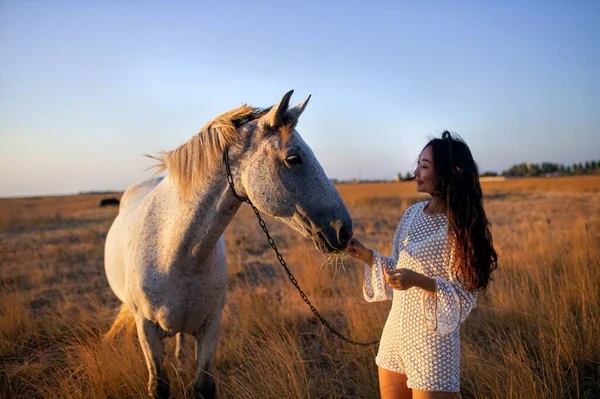 Belle Asiatique Fille Caresser Cheval Dans Champ — Photo