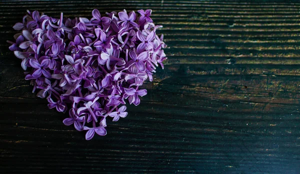 Lilac Flowers Heart Shape Houten Achtergrond Spring Love Concept — Stockfoto