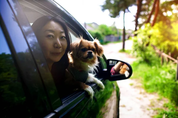 Ásia Mulher Pouco Cão Carro Verão Viagem — Fotografia de Stock