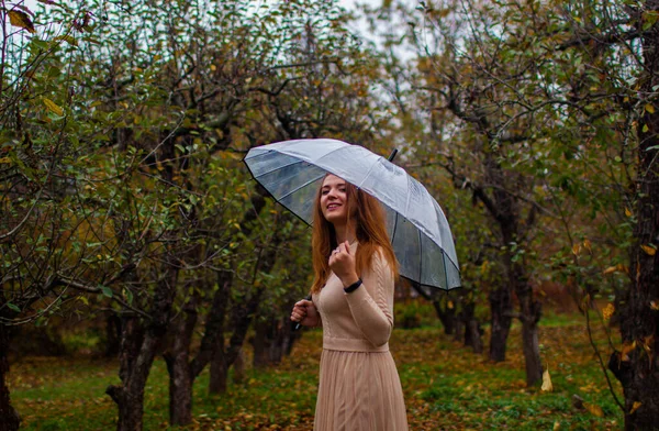 在森林里留长发的可爱的快乐女人 一个迷人的女孩的秋天大气画像 — 图库照片