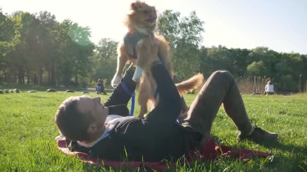 男人坐在绿地的草地上 和小狗玩耍 — 图库视频影像