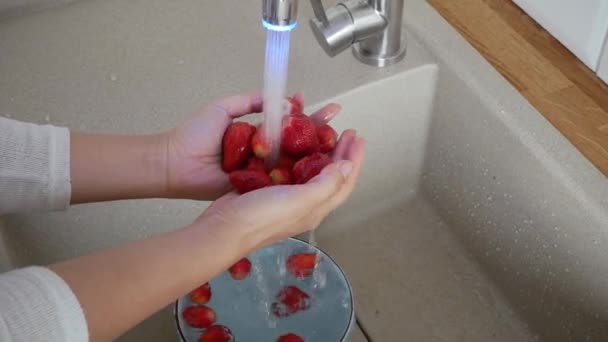 Erdbeeren Teller Mit Süßwasser Waschen — Stockvideo