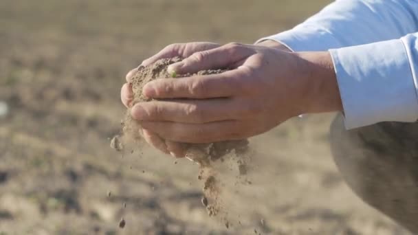 Menschliche Hände Nehmen Eine Probe Des Schwarzen Fruchtbaren Bodens — Stockvideo
