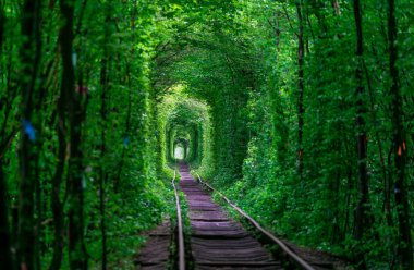 Aşk bahar orman kız gudlyayut demiryolu tüneli ile adam