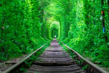 Aşk bahar orman kız gudlyayut demiryolu tüneli ile adam