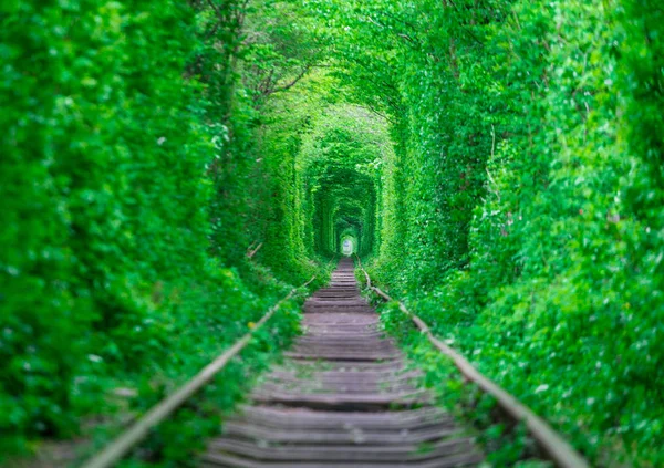 这个家伙，女孩 gudlyayut 铁路隧道的爱春天森林 — 图库照片