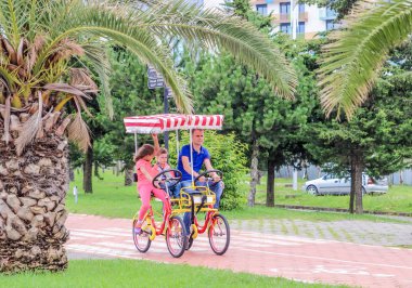 Batum, Georgia-Temmuz 4 Batum, Gürcistan ve bisiklet yol kıyısındaki 2015 Palm ağaçlar sokak