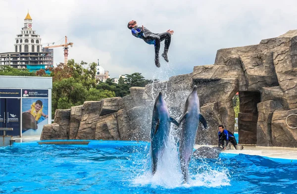 Batum, Georgia-Temmuz 9 2015 öğretim elemanları ile gerçekleştirmek Batum Dolphinarium yunuslar eğitimli.