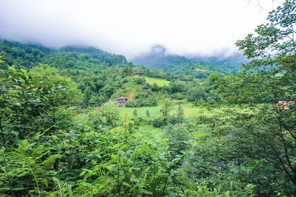 美丽的大自然，在格鲁吉亚在高海拔山区 — 图库照片