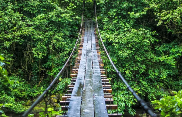Groothoek weergave van de kabel-brug over de rivier in Georgië — Stockfoto
