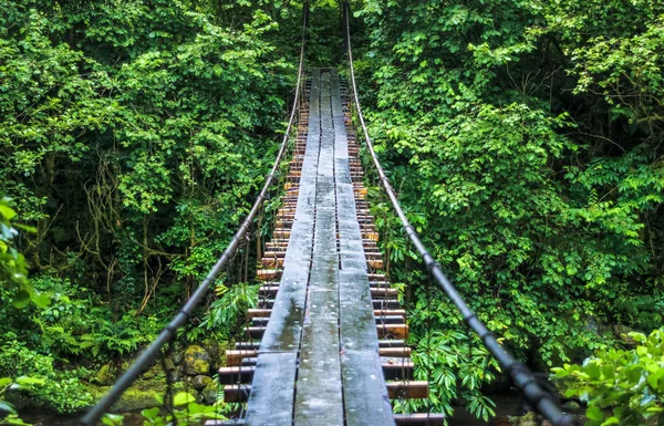 Wide-angle view of the cable bridge over the river in Georgia — Stock Photo, Image