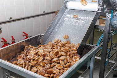 zencefilli ekmek konveyör üzerine roduction