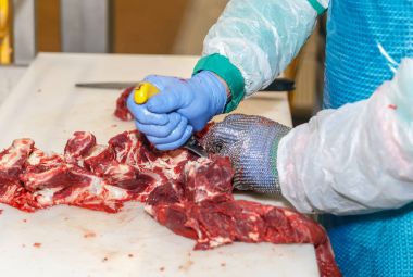 kesim et Mezbahada çalışan bir et fabrikasında işçiler.