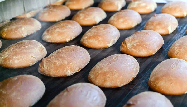 Запечені хліби на виробничій лінії в хлібопекарні Стокове Зображення