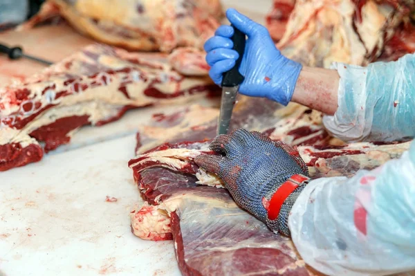 在肉厂切割肉类屠宰工人. 图库图片