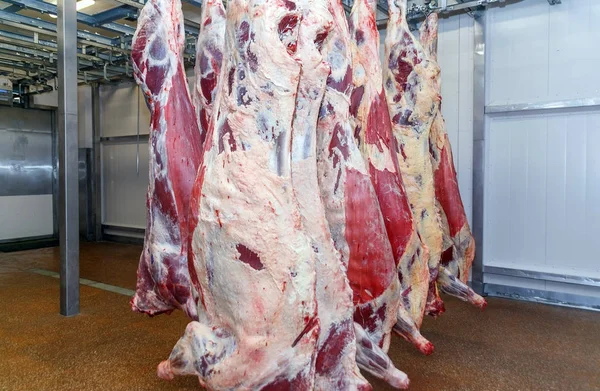 在肉厂切割肉类屠宰工人. 免版税图库图片