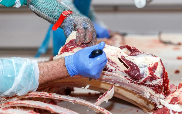 在肉厂切割肉类屠宰工人. 图库图片