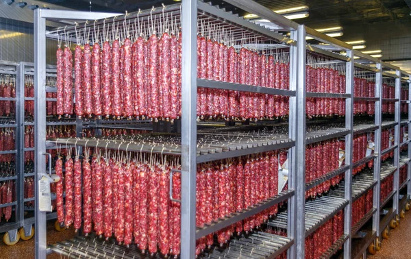 用于存储肉类和香肠制品冷藏的仓库 免版税图库图片