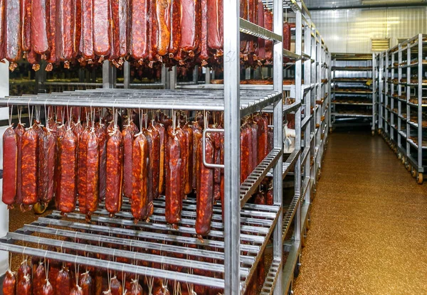 Холодильний склад для зберігання м'яса та ковбасних виробів Стокове Зображення