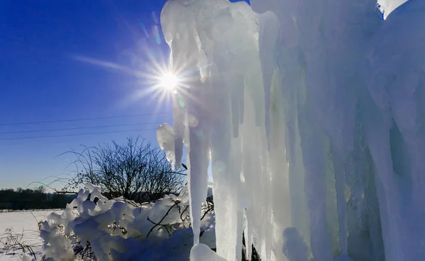 Gotas congeladas de água na grama e arbustos com um sol de inverno brilhante — Fotografia de Stock
