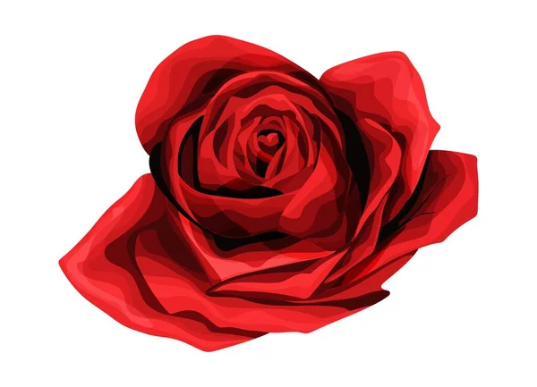 Rosenhandzeichnung und farbig. eine blühende Rosenknospe. Vektorillustration. — Stockvektor