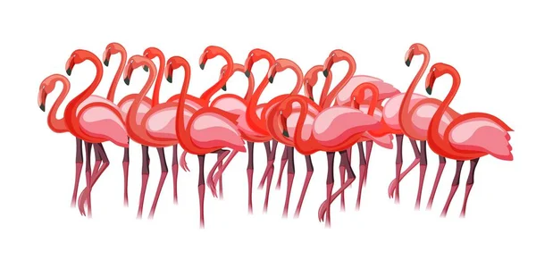 İhtişam toplama egzotik pembe mor flamingo kuşları kalabalık grup — Stok Vektör
