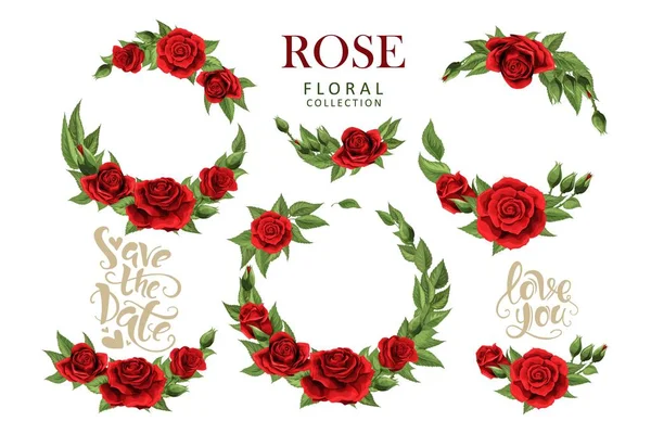 Rosas rojas dibujadas a mano elementos de ilustración de color conjunto aislado en blanco — Vector de stock
