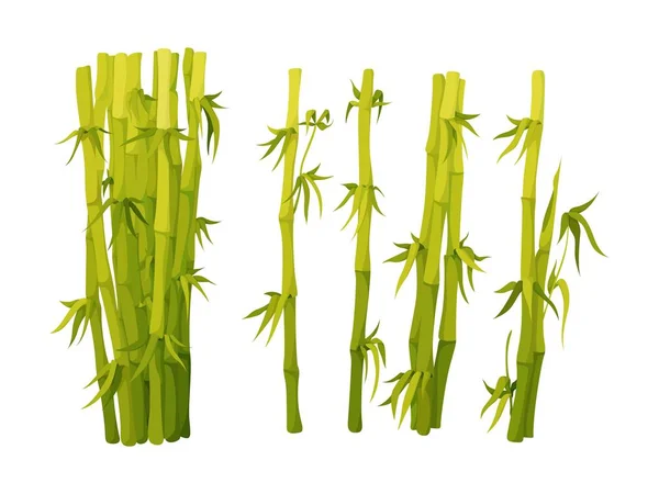 Elemen dekorasi hijau bambu dalam gaya datar - Stok Vektor
