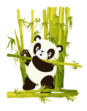 Tatlı panda bambu topluyor. Düz vektör çizimi.