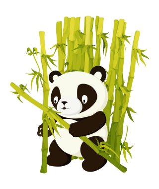 Bambudan gelen sevimli panda sanatı yağmur ormanları hakkında bir şey ortaya çıkarıyor.