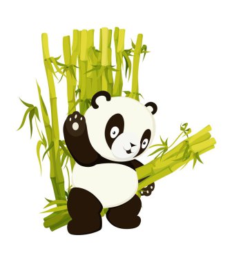 Şirin panda bambu gövdeleri taşır.