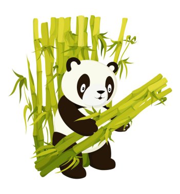 Tatlı panda bambu topluyor. Düz vektör çizimi.