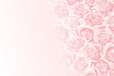 Çiçek arkaplanında krem rengi gül tomurcuğu