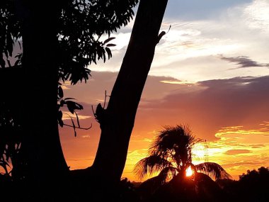 Amazon bölgesinde günbatımı.