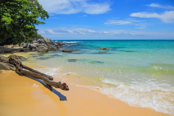 Eski dalgaların karaya attığı odun beyaz mavi deniz kum ve dalgalar kumsalda