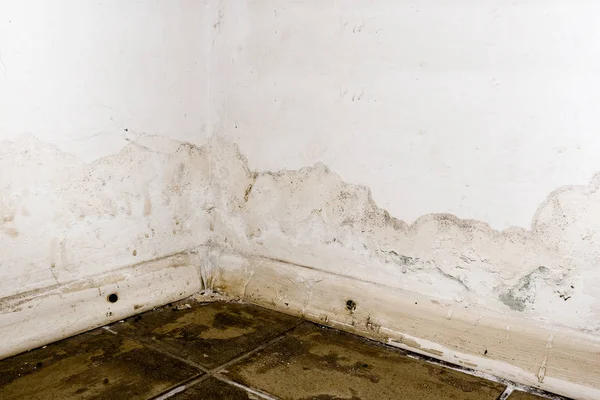 Flooding rainwater or floor heating systems, causing damage, peeling paint and mildew. — Stock Image Flooding rainwater or floor heating systems, causing damage, peeling paint and mildew. Royalty Free Stock Images