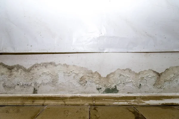 Flooding rainwater or floor heating systems, causing damage, peeling paint and mildew. — Stock Image Flooding rainwater or floor heating systems, causing damage, peeling paint and mildew. Stock Picture