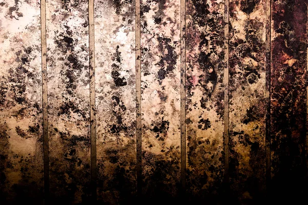 Black spots of toxic mold and fungus bacteria on a wall. — Stock Image Black spots of toxic mold and fungus bacteria on a wall. Stock Image
