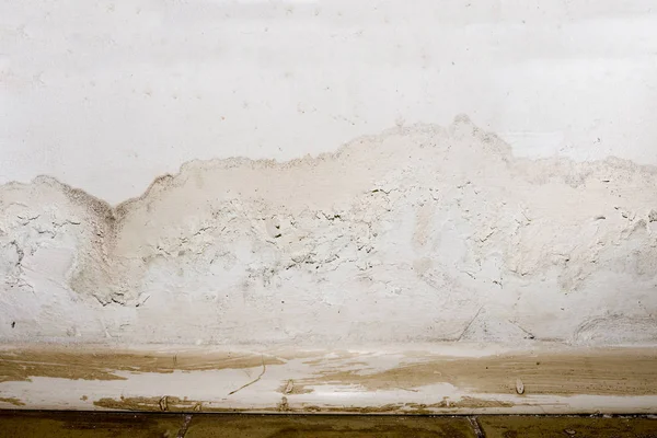 Flooding rainwater or floor heating systems, causing damage, peeling paint and mildew. — Stock Image Flooding rainwater or floor heating systems, causing damage, peeling paint and mildew. Stock Picture