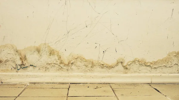 Big wet spots and black mold on the wall of the domestic house room after heavy rain and lot of water — Stock Image Big wet spots and black mold on the wall of the domestic house room after heavy rain and lot of water Stock Photo