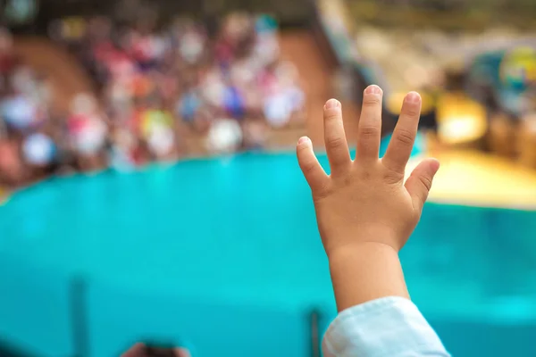 Niño Feliz Quiere Tomar Parte Rendimiento — Foto de Stock