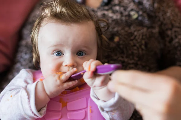 infant received first follow up food vegetable and fruit puree