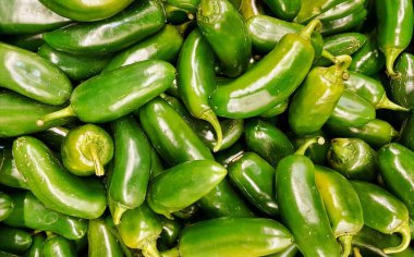 Piyasa tezgahında çiğ yeşil Jalapeno biberi. 3500 civarında Scoville ısı ünitesi var. Aynı zamanda Teksas eyaletinin biberidir ve birçok yemek çeşidinde hazırlanabilir..