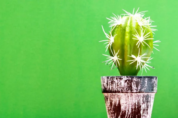 Cactus plant in rustic pot with a green background and copy space on the left side. Resembles Trichocereus Ornamental cactus. Fake decoration plastic ornament.