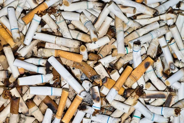 Les Mégots Cigarette Jetés Referment Dans Cendrier Image Plein Cadre — Photo