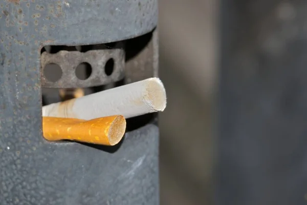 Zwei Weggeworfene Zigarettenkippen Einem Raucherhaus Mit Kopierraum Rechts Nikotinabhängigkeit Und — Stockfoto